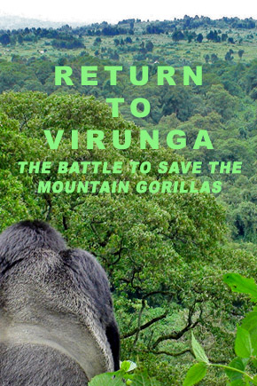 Return to Virunga: The Battle to Save the Mountain Gorillas