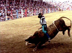 The Wildest Show in the South: The Angola Prison Rodeo