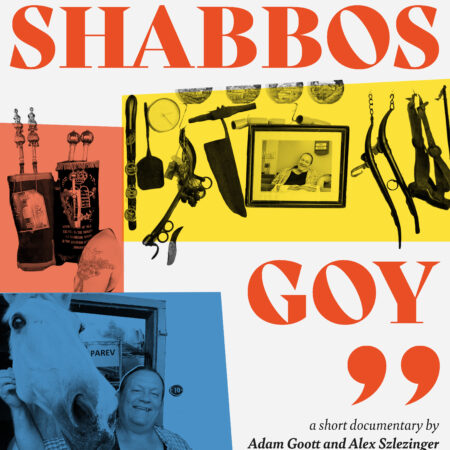 Shabbos Goy